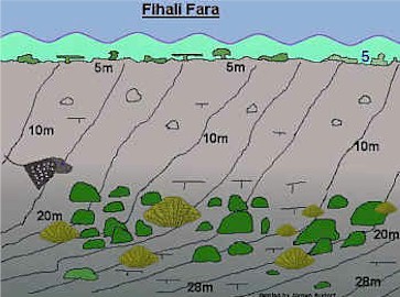 Fihal Faru